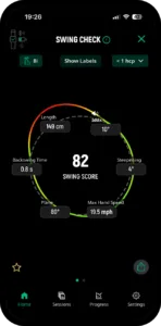 deWiz Swing Analyzer